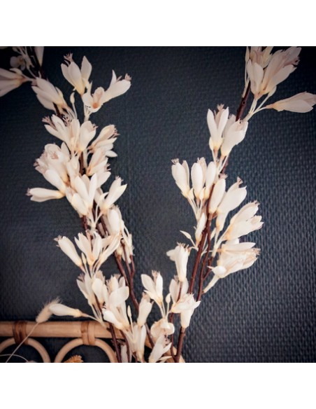 BRANCHE DE FLEURS DE MAGNOLIA BLANC 1.30M HOME SWEET HOME Objet de décoration