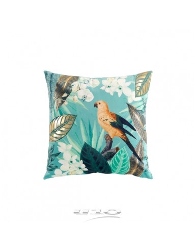 COUSSIN DEHOUSSABLE COMPRESSE 45 x 45 CM VELOURS IMPRIME OR RINGO HOME SWEET HOME Coussin