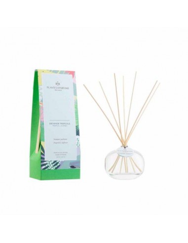 Bouquet Parfumé Escapade Tropicale 100ml HOME SWEET HOME Hygiène et beauté