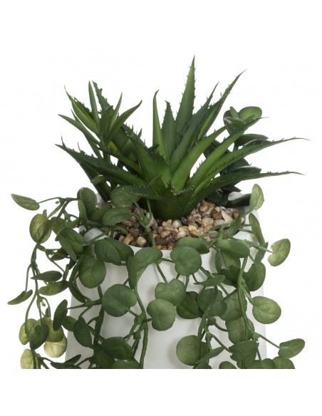 COMPO PLANTE POT CIM H33 HOME SWEET HOME Plantes vertes