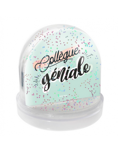 Boule à neige - Collègue géniale HOME SWEET HOME Cadeau