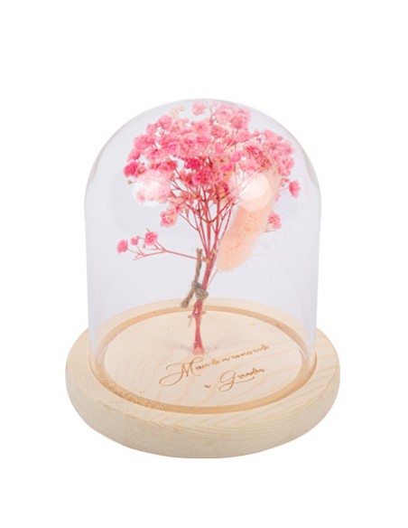 Cloche en Verre Fleurs Séchées Roses Socle en Bois Merci de m\'avoir aidé à grandir 13,5 x 12,5 cm HOME SWEET HOME Cadeau