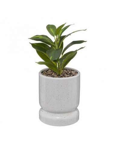 PLANTE POT CRMQ REACTIVE H30 HOME SWEET HOME Vase & Soliflore