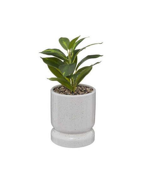 PLANTE POT CRMQ REACTIVE H30 HOME SWEET HOME Vase & Soliflore