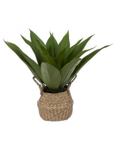 AGAVE POT NAT H48 HOME SWEET HOME Vase & Soliflore