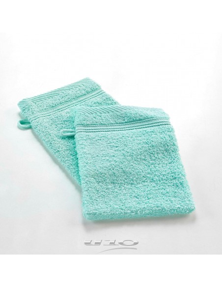 2 GANTS DE TOILETTE 15 x 21 CM EPONGE UNIE TENDRESSE CELADON HOME SWEET HOME Salle de bain