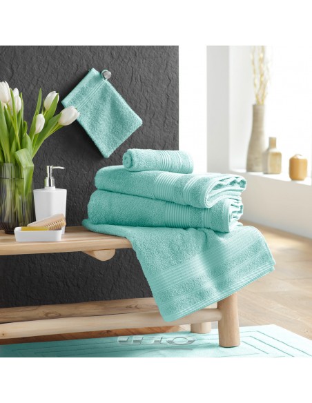 2 GANTS DE TOILETTE 15 x 21 CM EPONGE UNIE TENDRESSE CELADON HOME SWEET HOME Salle de bain