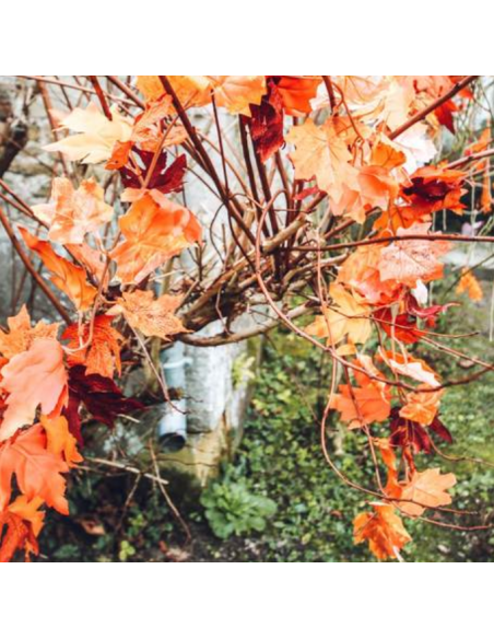 Guirlande de Feuilles d\'Automne Dégradé Orange et Marsala 1,75M HOME SWEET HOME Halloween 2023