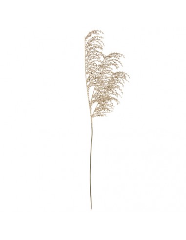 Branche de Pampa Paillettes Champagne 75cm HOME SWEET HOME Noel