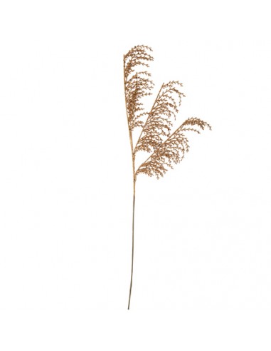 Branche de Pampa Paillettes Bronze 75cm HOME SWEET HOME Noel