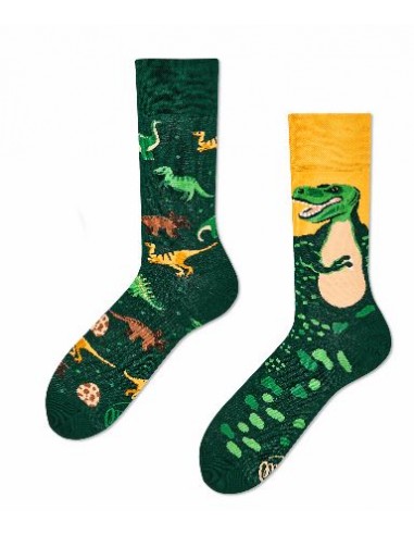 Chaussettes the dinosaurs HOME SWEET HOME Cadeau