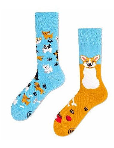 Chaussettes playful dog HOME SWEET HOME Cadeau