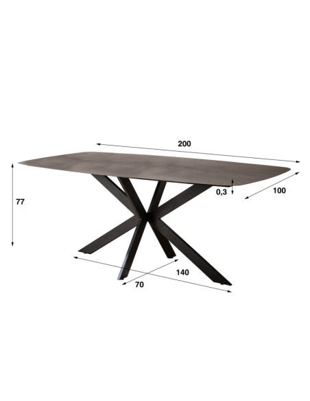 Table à manger rough metal spider frame HOME SWEET HOME Tables basse & Tables de salon