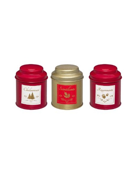 BOUGIE PARFUMEES CANETTES X3 80GRS RG/OR HOME SWEET HOME Noel