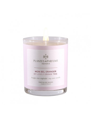 Bougie Végétale Parfumée 180g - Mon Bel Oranger HOME SWEET HOME Bougies Végétales Parfumées - 180g