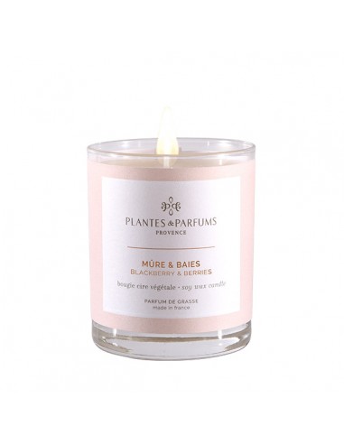 Bougie Végétale Parfumée 180g - Mûre et Baies HOME SWEET HOME Bougies Végétales Parfumées - 180g