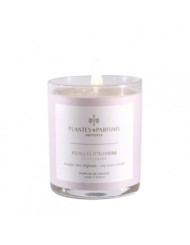 Bougie Végétale Parfumée 180g - Feuilles d\'Oliviers HOME SWEET HOME Bougies Végétales Parfumées - 180g