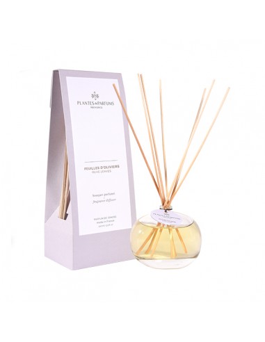 Bouquet Parfumé 100ml - Feuilles d\'Oliviers HOME SWEET HOME Bouquets Parfumés - 100ml